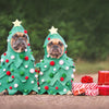 Two French Bulldogs wearing Christmas tree costumes sitting next to some wrapped presents