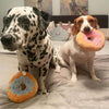 A Dalmatian and a Beagle sitting on a bed with their Blueberry and Strawberry Squeaky Donut Plush Toys