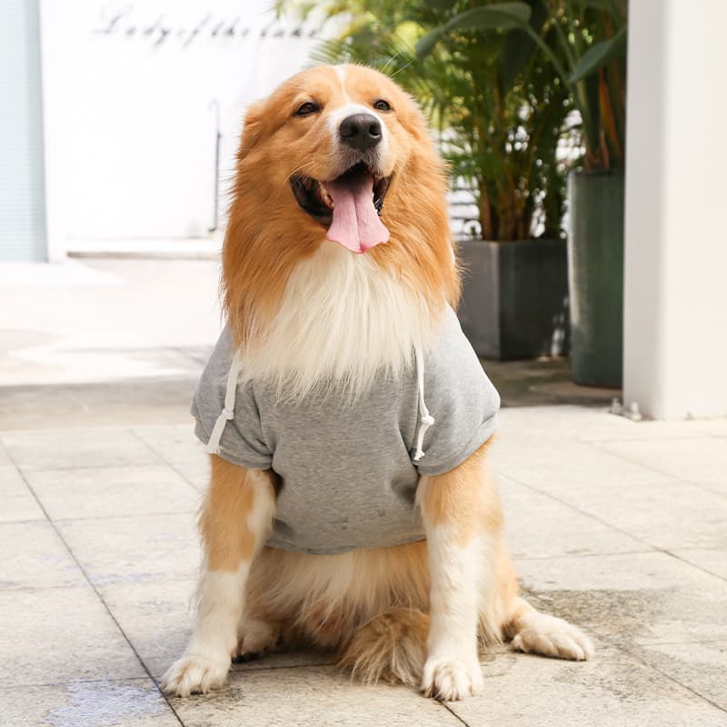 A dog wearing a Gray Extra Warm Fleece Dog Hoodie