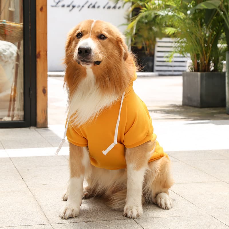 A dog wearing a Yellow Extra Warm Fleece Dog Hoodie