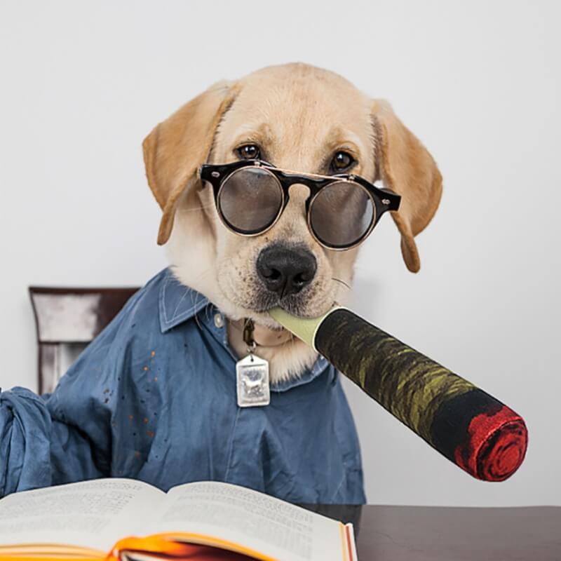 Labrador wearing glasses holding dog joint plushie