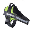 Lime Green Personalized Reflective Harness