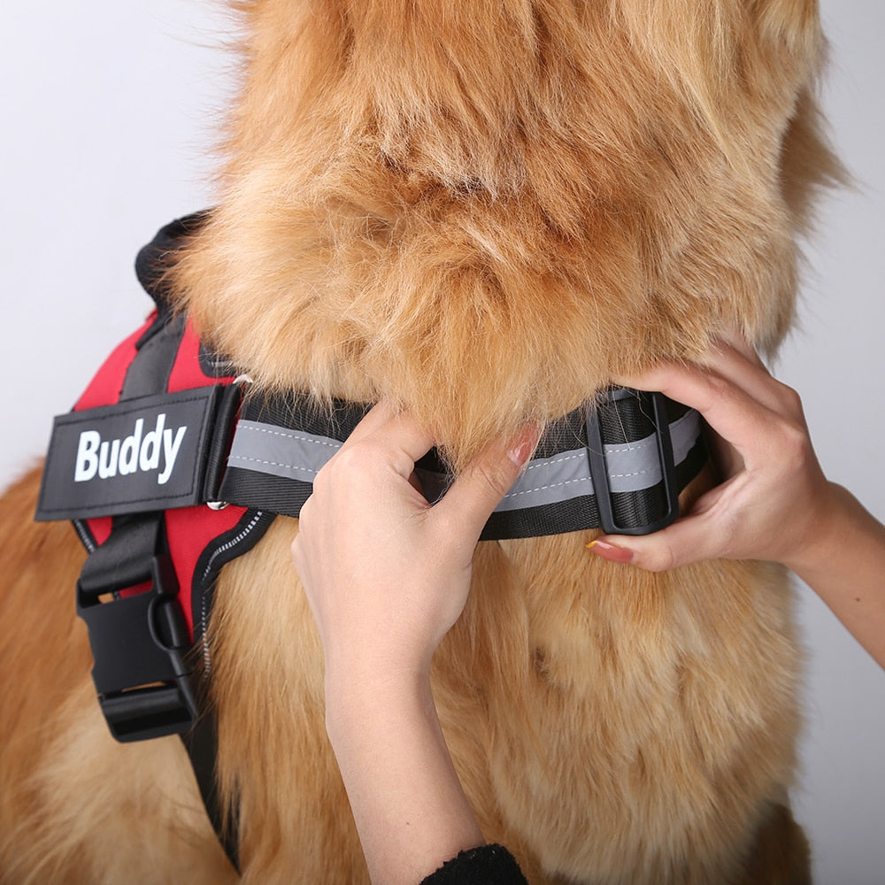 Personalized Reflective Harness adjustment