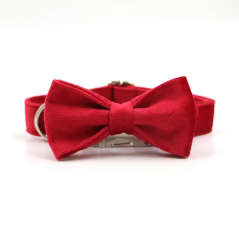 Red Velvet Bowtie in front of the Collar