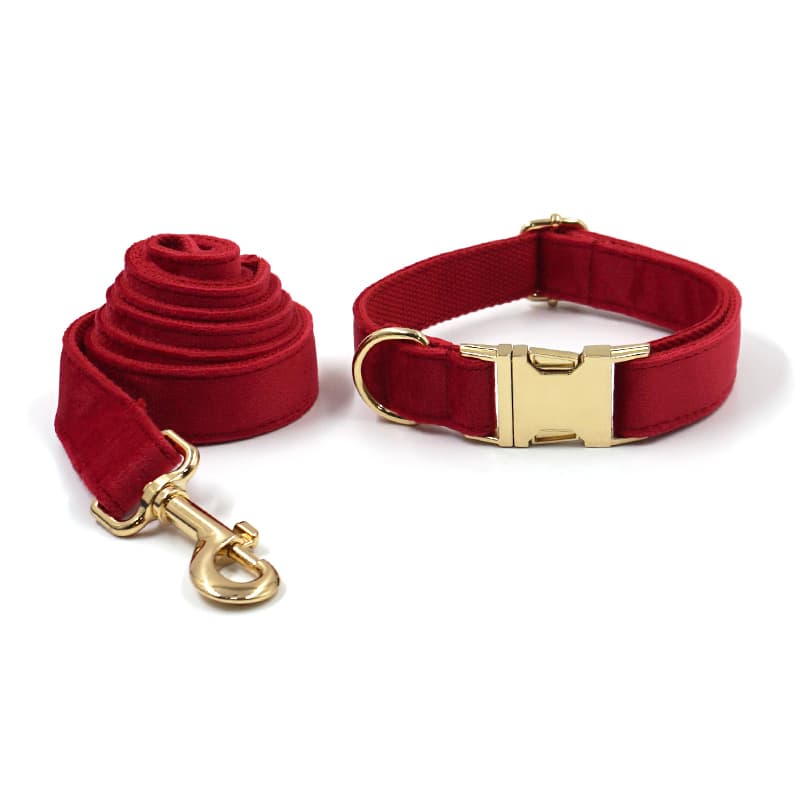 Red Velvet Leash and Collar