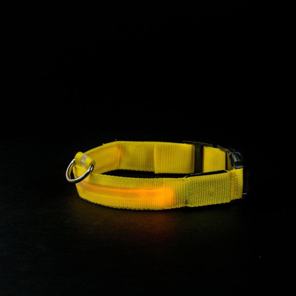 Yellow Led Dog Collar glowing in the dark