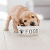 A Cocker Spaniel puppy eating from a food bowl that says food