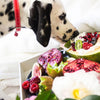 A Dalmatian sniffing a tray of fruit