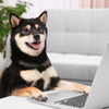 A Shiba Inu looking at a laptop