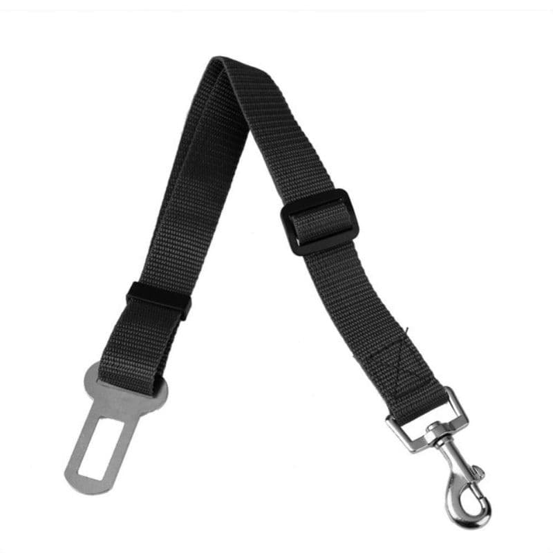 Black Dog Car Seat Belt variant