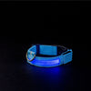 Blue Led Dog Collar glowing in the dark