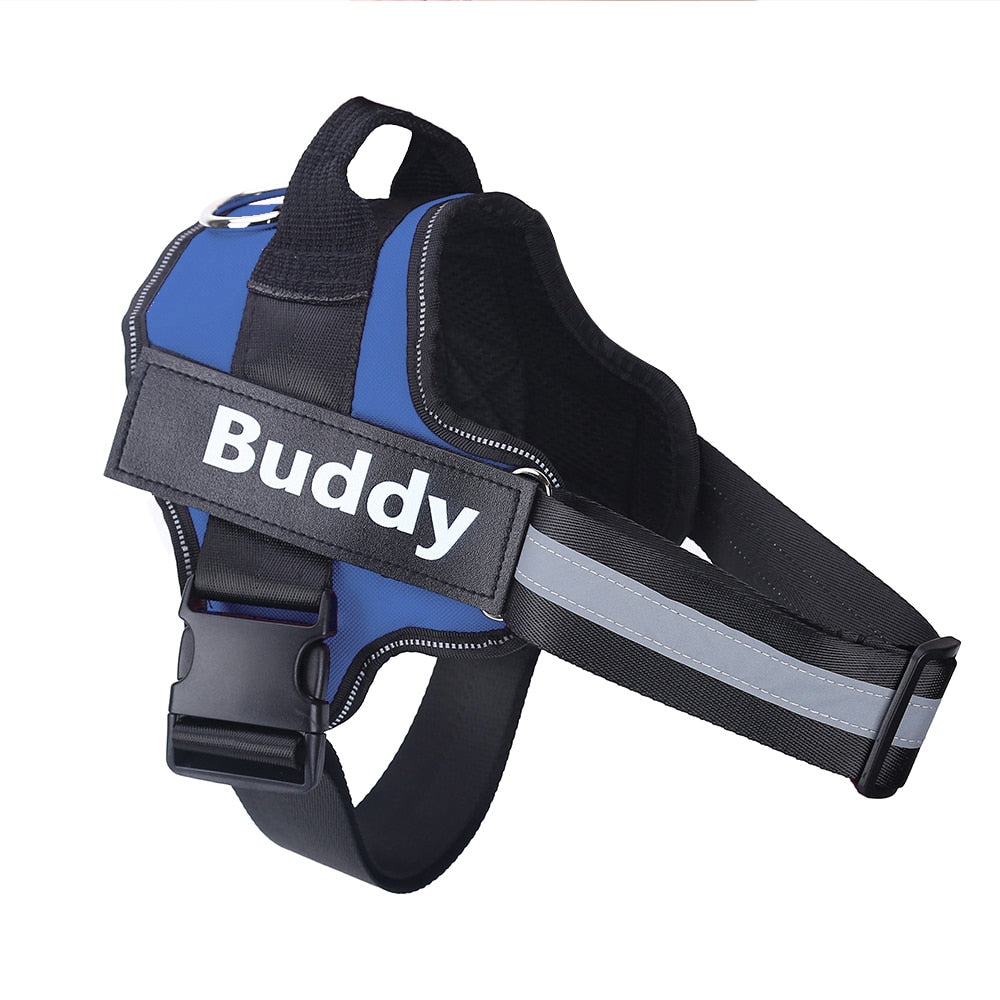 Blue Personalized Reflective Harness
