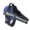 Load image into Gallery viewer, Blue Personalized Reflective Harness