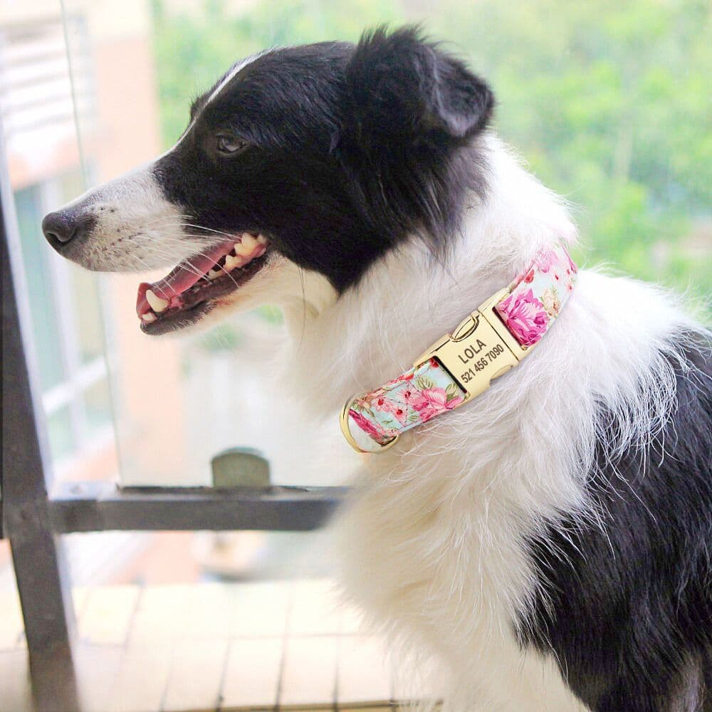 A Border Collie wearing a Pink Personalized Floral Collar