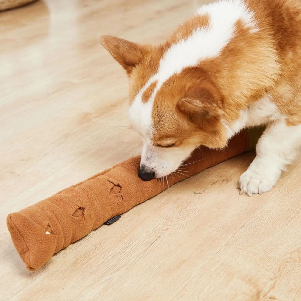 Corgi sniffing the unrolled Snail Snuffle Mat