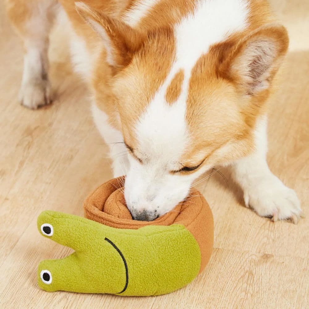 Corgi sniffing the rolled up Snail Snuffle Mat