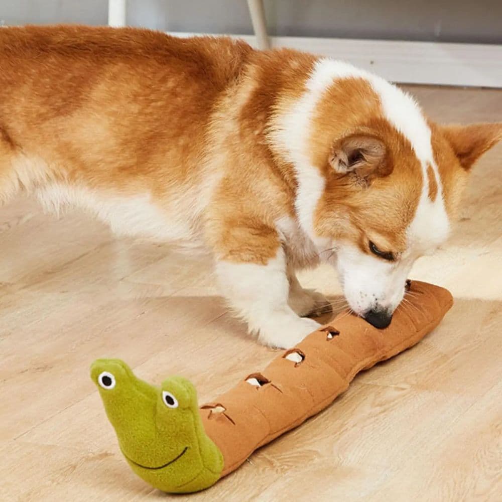 Corgi sniffing the unrolled Snail Snuffle Mat