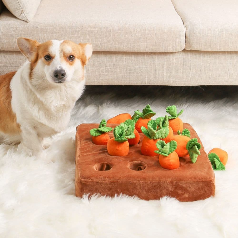 Corgi sitting on a carpet next to the Carrot Field Snuffle Toy