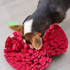 Corgi sniffing a Red Apple Snuffle Mat