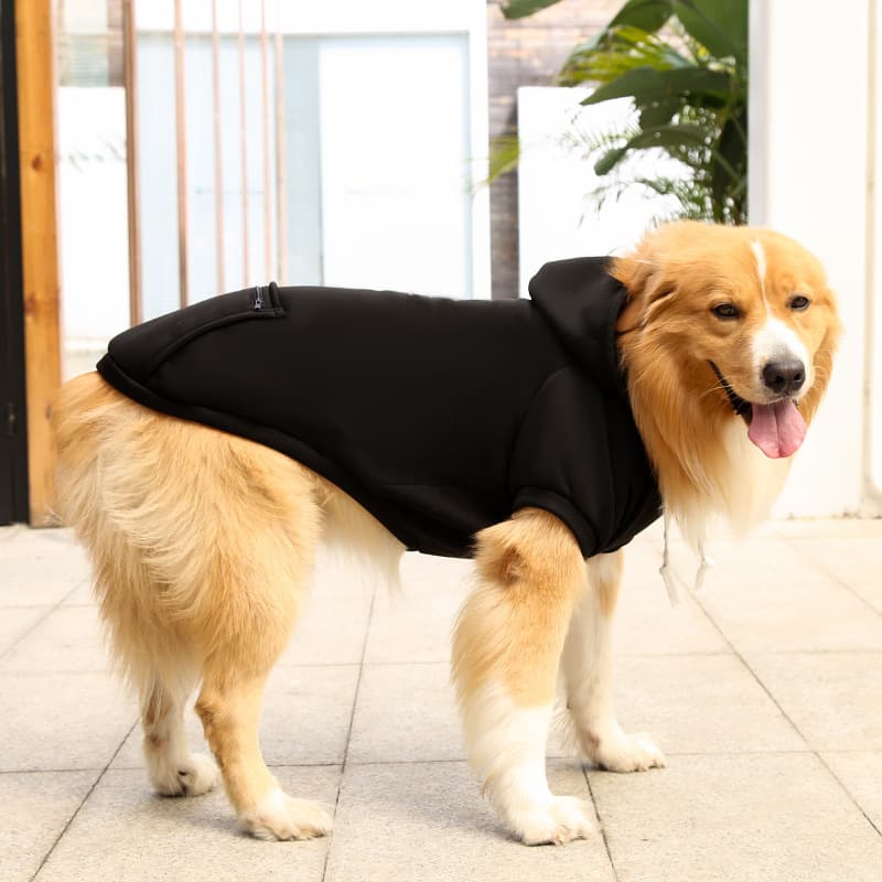 A dog wearing a Black Extra Warm Fleece Dog Hoodie 
