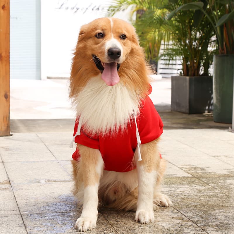 A dog wearing a Red Extra Warm Fleece Dog Hoodie 