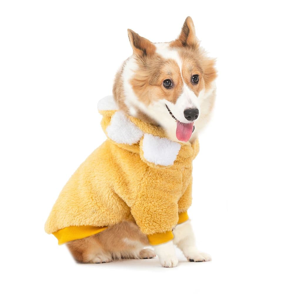 Corgi wearing a Yellow Flower Dog Hoodie