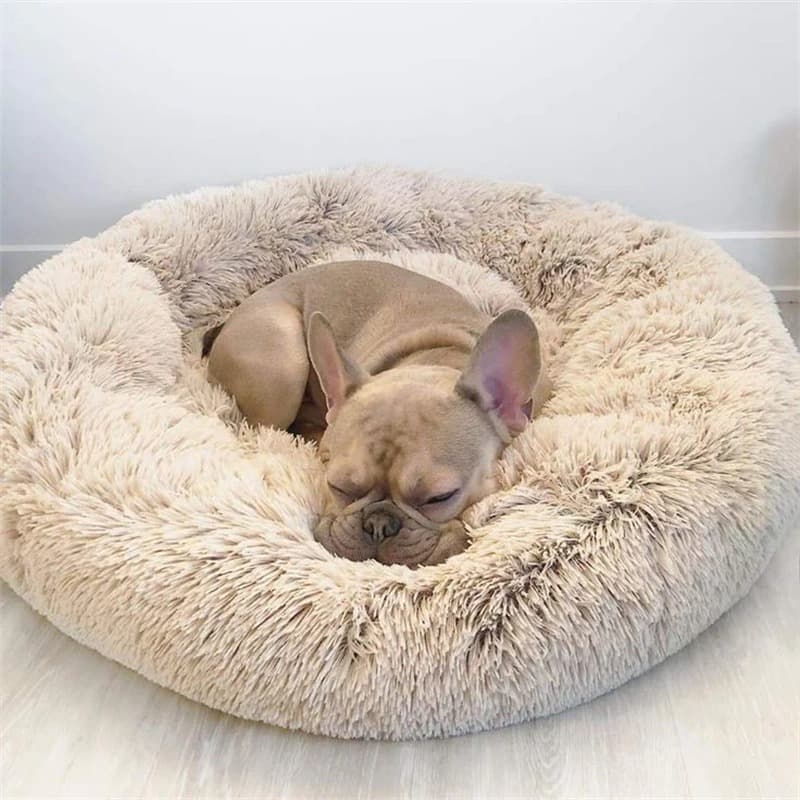 A French Bulldog resting on an Apricot Calming Cuddle Bed