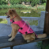A Golden Retriever sitting on a bench wearing the Mermaid Dog Life Jacket
