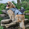 A Golden Retriever sitting wearing the Shark Dog Life Jacket