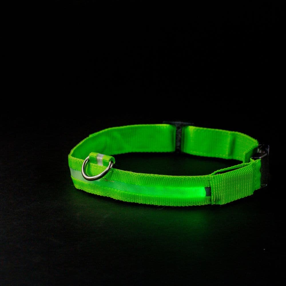 Green Led Dog Collar glowing in the dark