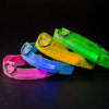 Pink, Blue, Yellow and Green LED Dog Collars glowing in the dark