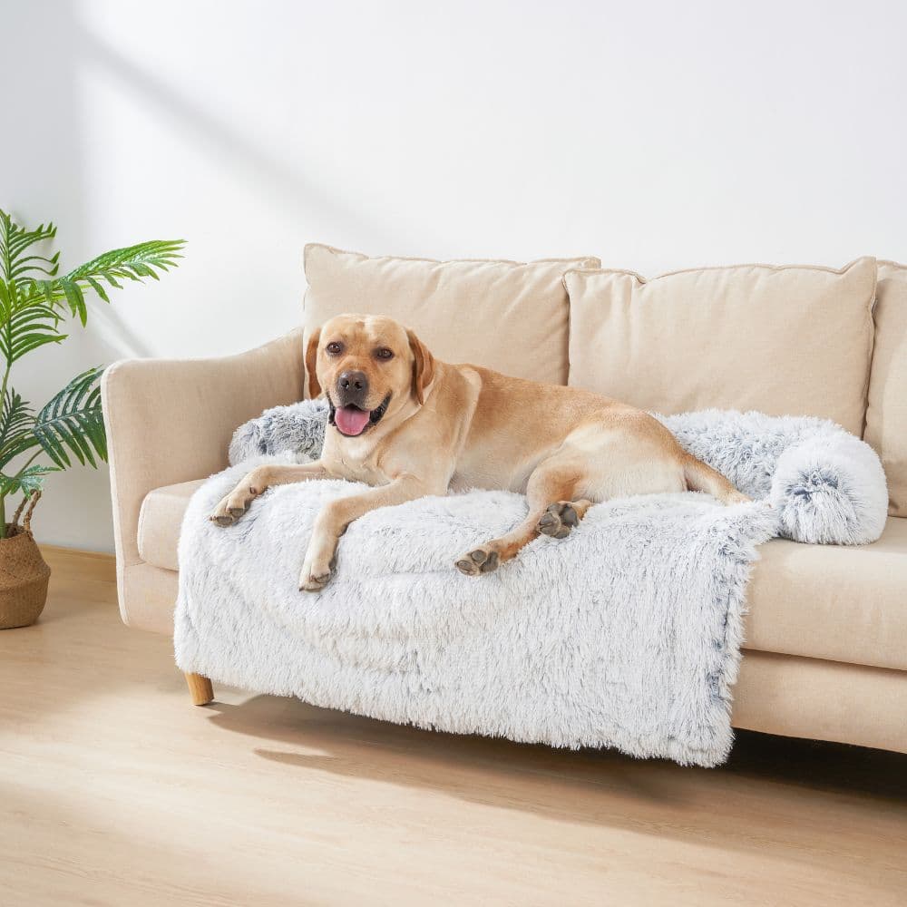 A Labrador laying on a Light Gray Calming Cuddle Furniture Protector