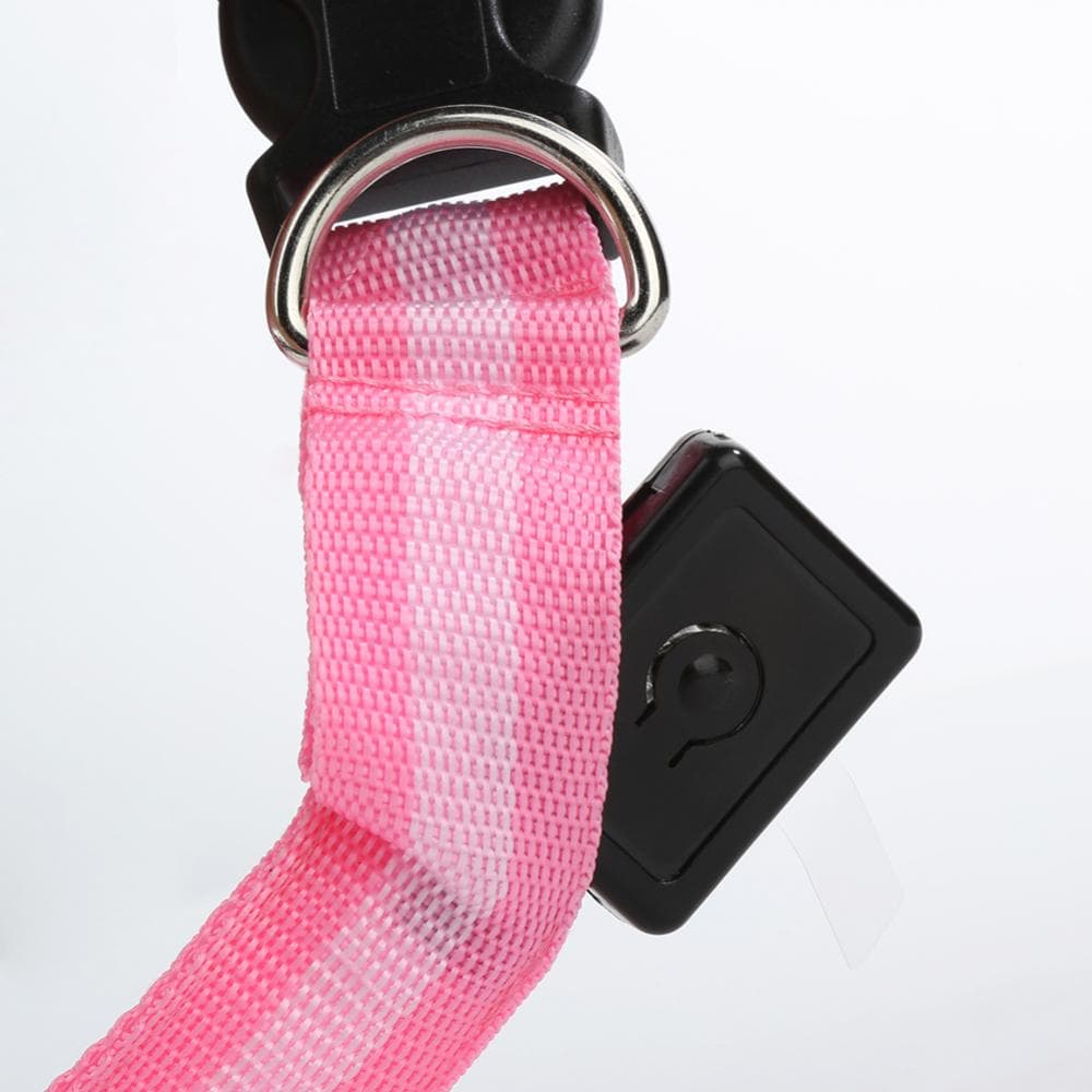 Pink Led Dog Collar button showcase