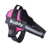 Load image into Gallery viewer, Pink Personalized Reflective Harness