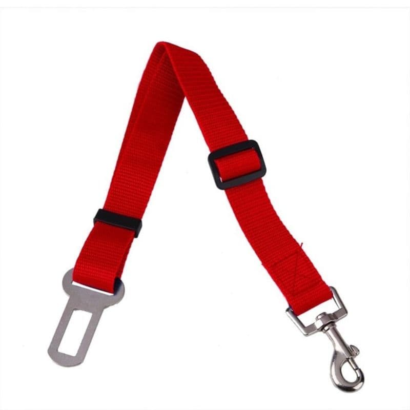 Red Dog Car Seat Belt variant