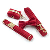 Red Velvet Collar, Poop Bag Pouch, Bowtie and Leash set