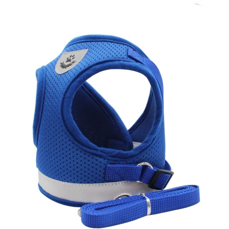 Blue Reflective Harness & Leash Set