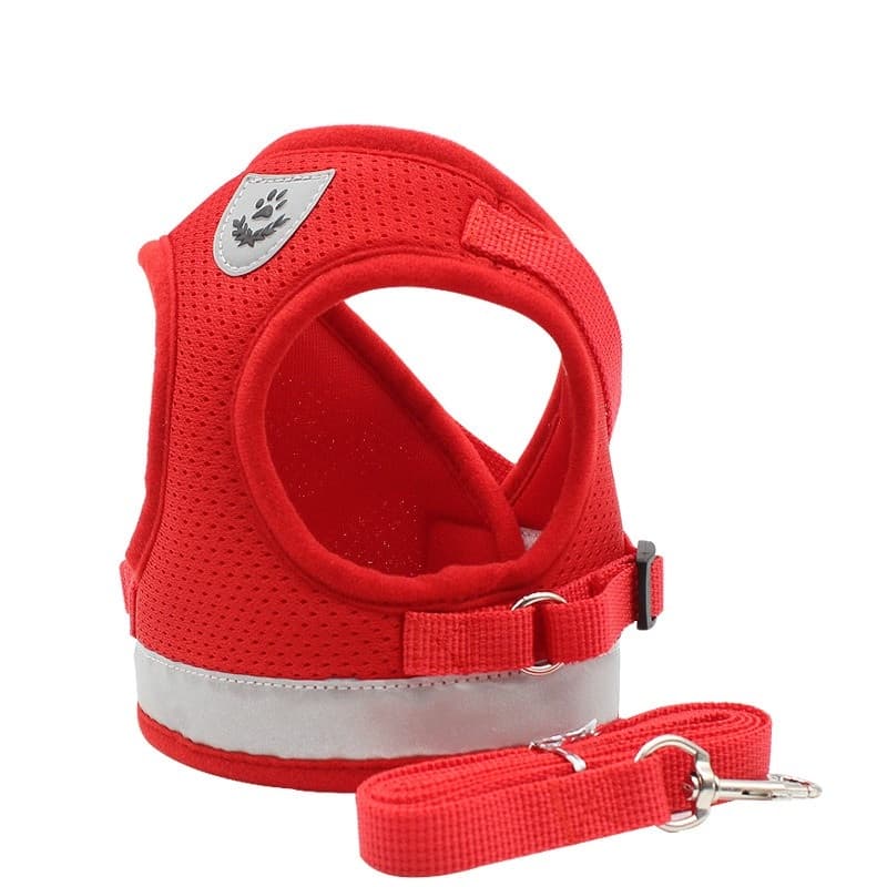 Red Reflective Harness & Leash Set