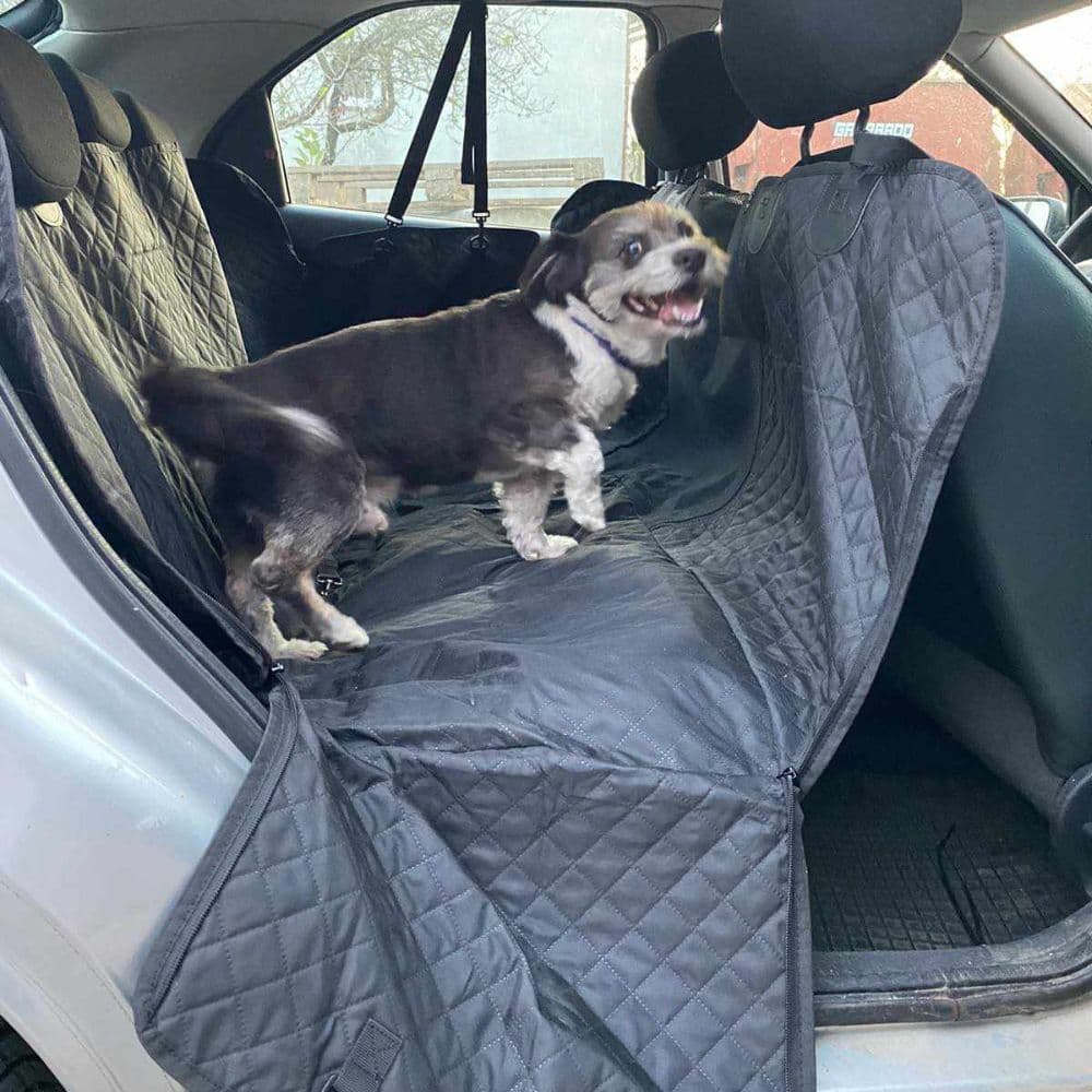 A Shih Tzu standing on the Black Waterproof Car Seat Cover with the right side flap opened