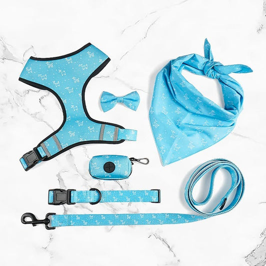 Blue Six Piece Harness Set