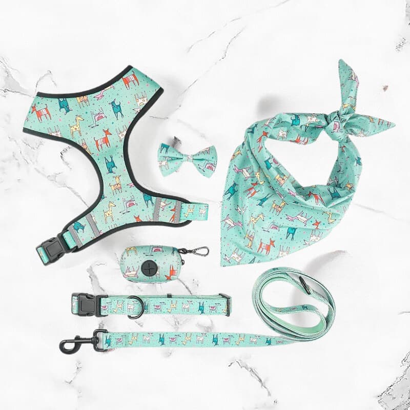 Cyan Six Piece Harness Set