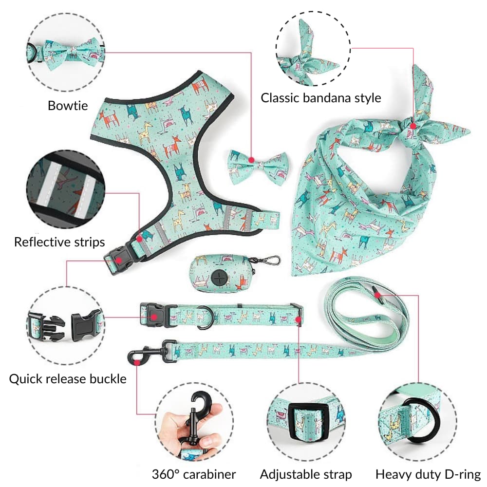 Cyan Six Piece Harness Set pieces